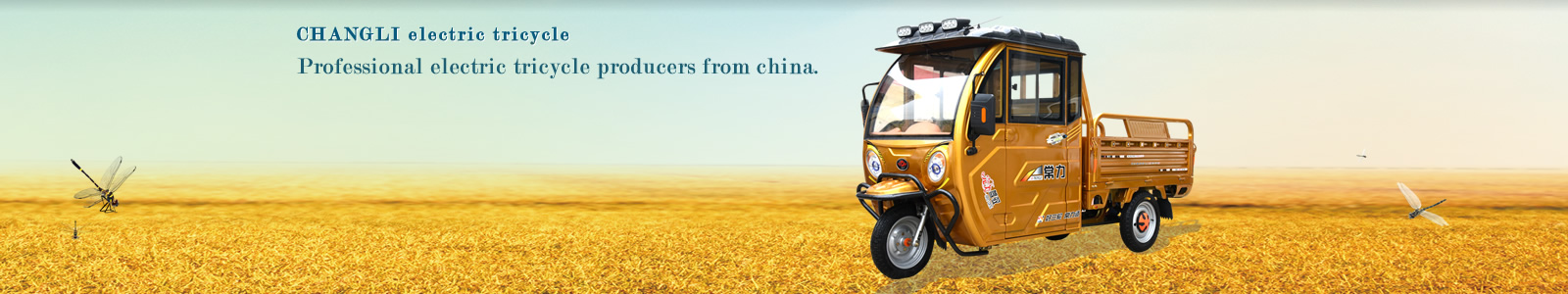 CHANGLI electric tricycle